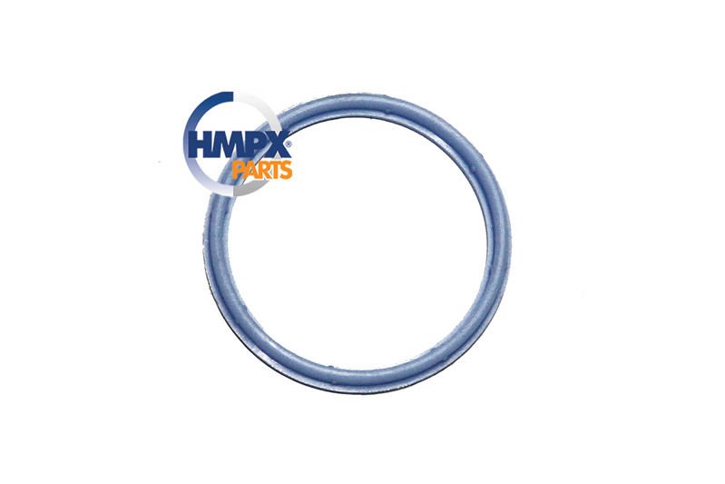 Ford Transıt V347 2.4 D 04- Emme Manifold Boğaz Lastiği