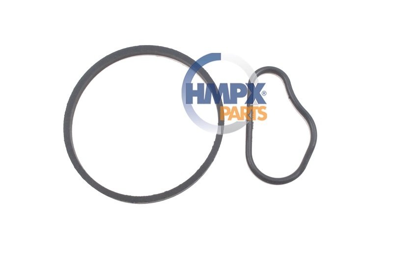 Vakum Pompa O Ring Takımı Focus 2005/ 1.6 Tdcı